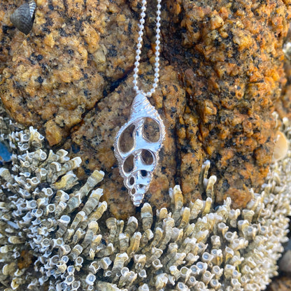 Sterling silver necklace of a cast silver shell. Hangs on a 40 or 45cm sterling silver chain. By Mornington Sea Glass.
