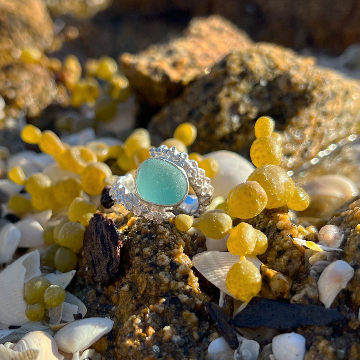 Octopus's Garden Ring