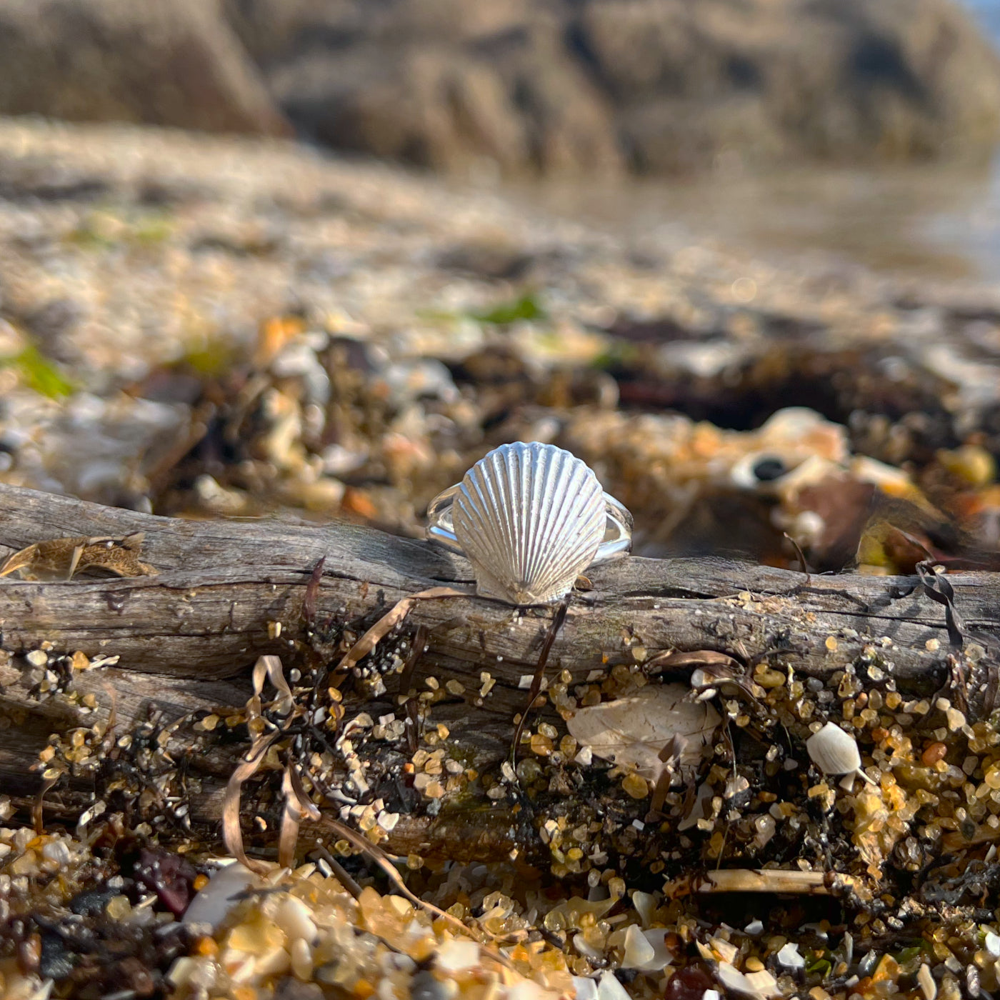 Double band sterling silver scallop shell ring by Mornington Sea Glass. Size 9.