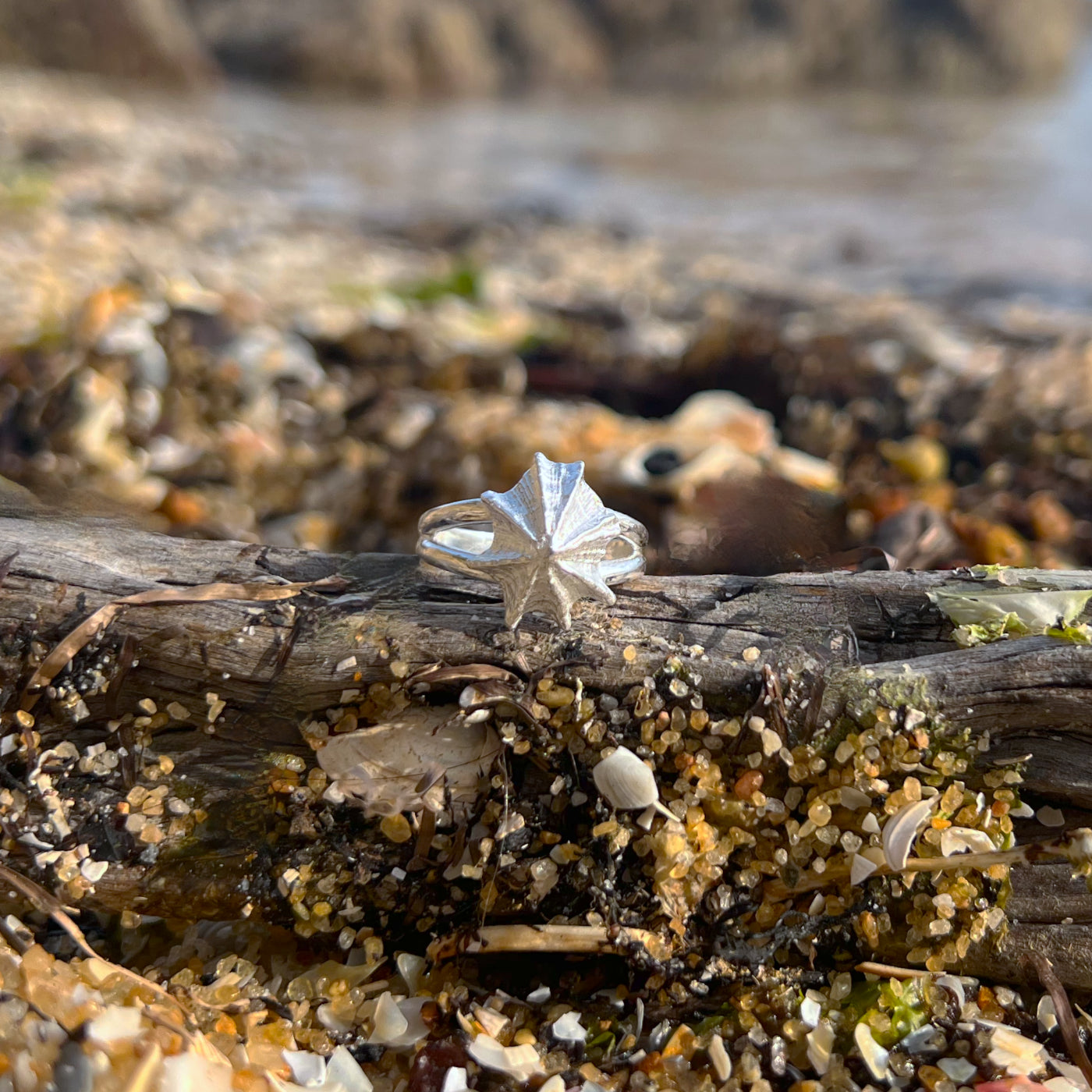 Double band sterling silver limpet shell ring by Mornington Sea Glass. Size 6 3/4 or 8.