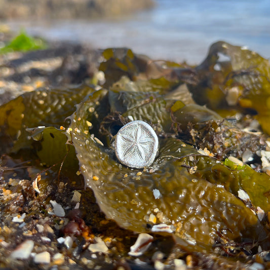 Double band sterling silver sea biscuit shell ring by Mornington Sea Glass. Size 8 ¼  o Q.