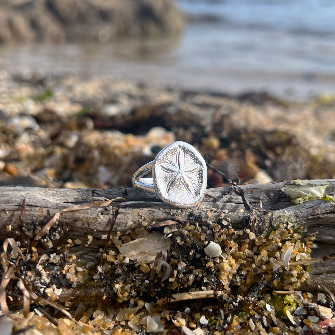 Double band sterling silver sea biscuit shell ring by Mornington Sea Glass. Size 8 ¼  o Q.