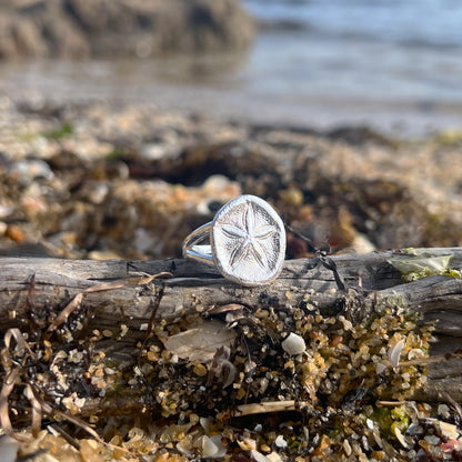 Double band sterling silver sea biscuit shell ring by Mornington Sea Glass. Size 8 ¼  o Q.