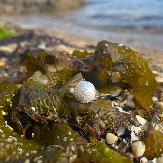 Double band sterling silver sea urchin shell ring by Mornington Sea Glass. Size 7 or 8.