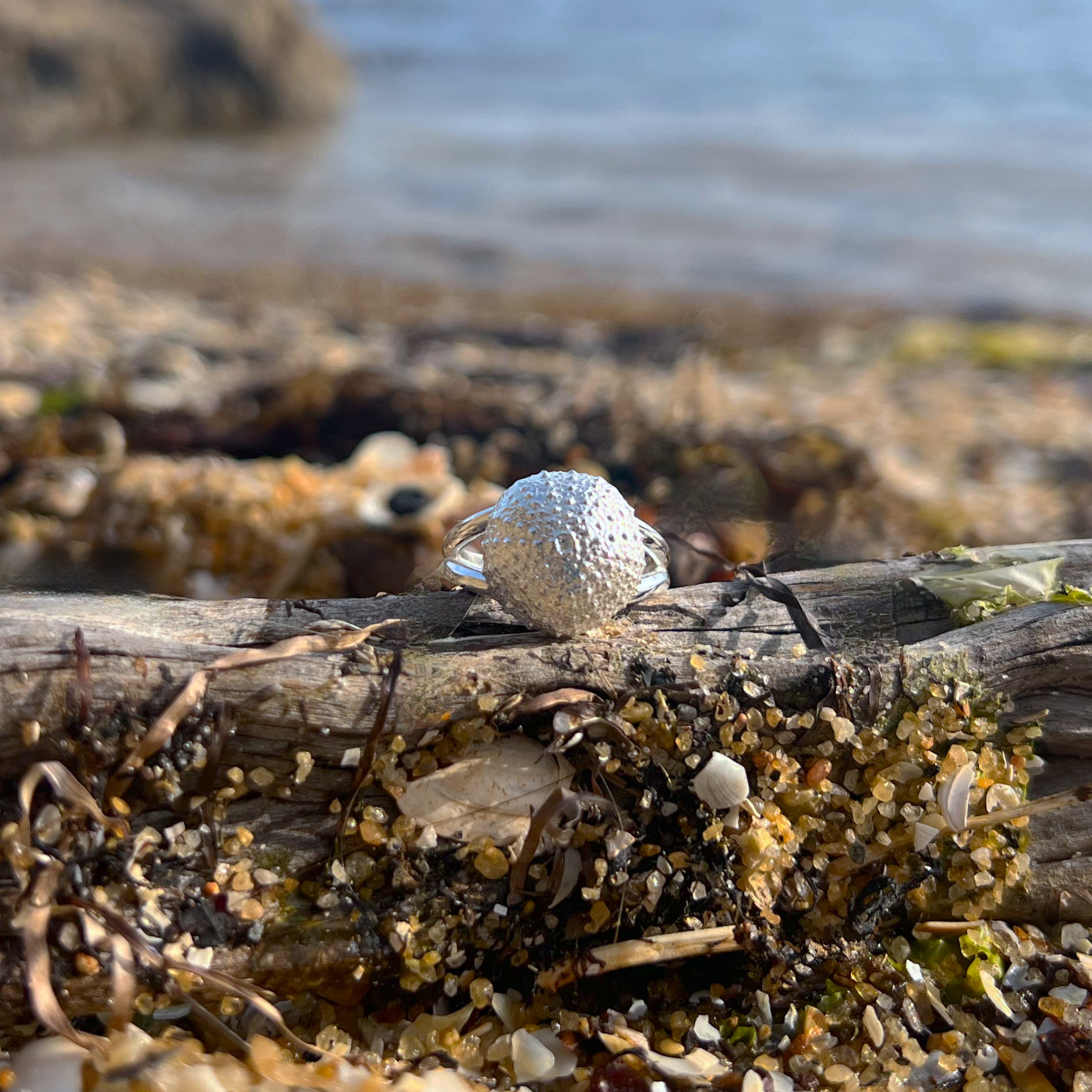 Double band sterling silver sea urchin shell ring by Mornington Sea Glass. Size 7 or 8.