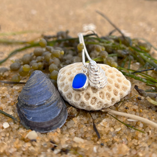 Sterling silver necklace of a cast silver shell with cobalt sea glass charm. Hangs on a 40 or 45cm sterling silver chain.  By Mornington Sea Glass