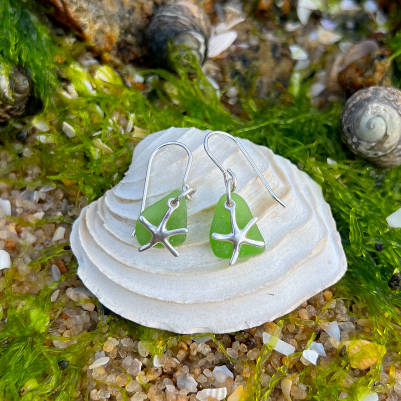 Sea Star Rock Pool Earrings