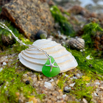 Green sea glass and silver sea star charm necklace by Mornington Sea Glass. Comes with a 40cm + 5cm  sterling silver curb with ball detail chain.