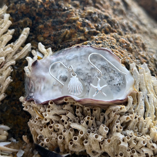 Sea Star and Shell Rock Pool Earrings