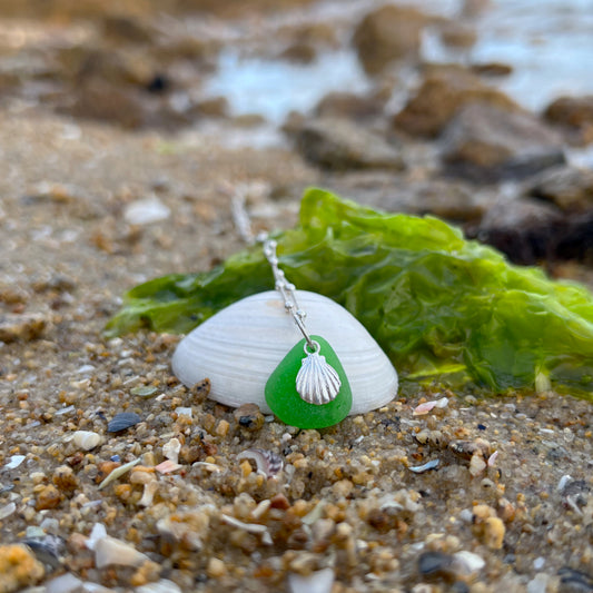 Blue sea glass and silver shell charm necklace by Mornington Sea Glass. Comes with a 40cm with 5cm ext sterling silver ball detail chain.